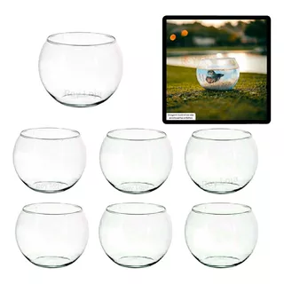 Vaso Decorativo Vidro Transparente 800 Ml Kit 12 Redondo Peq