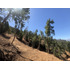 Se Vende Parcela De 5000 M2 Con Esplendida Vista