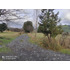 Parcela En Venta | 5.000 M² | Riñinahue - Lago Ranco