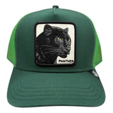 Gorra Goorin Bros Panther Original Ariat