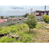 Terreno Urbano Penco