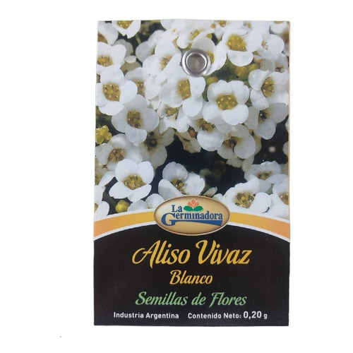 Semillas De Flores Aliso Vivaz /  La Germinadora  