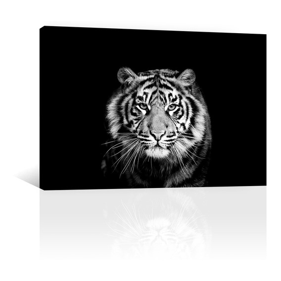 Cuadro Decorativo Canvas Animales Retrato Tigre Bn