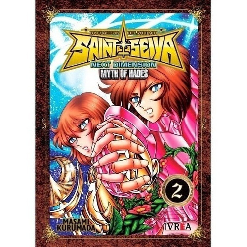 Saint Seiya Next Dimension Myth Of Hades Vol 2