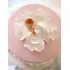 Adorno De Torta Baby Shower , Bautizo En Porcelana Frìa