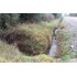 Industrial En Venta En Mariquina