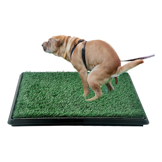 Tapete Entrenador Perro Sanitario Baño Mascotas Green Carpet