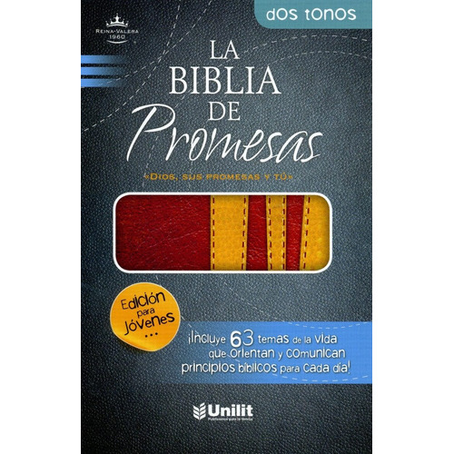 Biblia De Promesas Rvr 1960 Juvenil Piel Italiana Dos Tonos