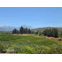 Parcela 5.000 M2 Con Casa, Limache