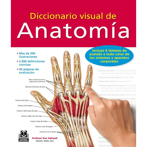 Ashwell Diccionario Visual De Anatomía ¡envío Gratis!, De Ashwell. Ken. Editorial Paidotribo En Español