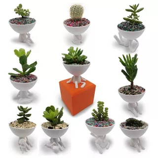 30 Macetas De Hombrecitos Cactus/suculenta Robert Plant