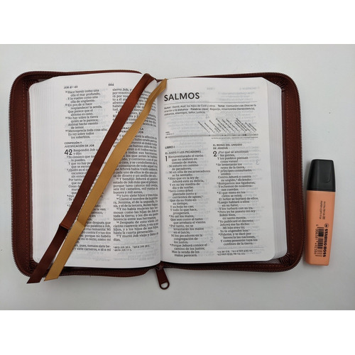 Biblia Rvr60 Letra Grande Tamaño Compacto Tapa Piel C/cierre