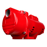 Red Lion Rl-sprk-200-br, 230 Voltios, 2hp, 77 Gph, Bomba De 