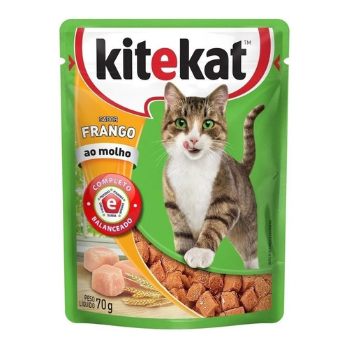 Alimento Kitekat para gato adulto sabor pollo en salsa en sobre de 70g