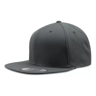 Gorra Flexfit Snapback Mod 6089 Unitalla