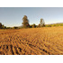 Se Vende Terreno Camino Las Rasras Km 24