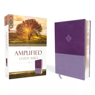 La Biblia De Estudio Amplificada, Leathersoft, Purpura