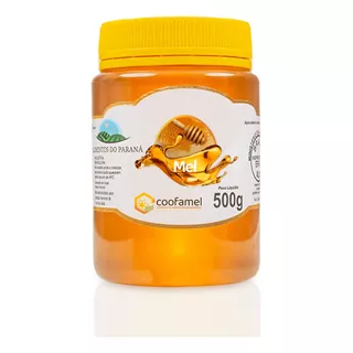 Mel De Abelhas 100% Puro - 500 G - Florada Silvestre