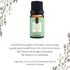 Esencias aromáticas Via Amora, 10 ml, varios sabores