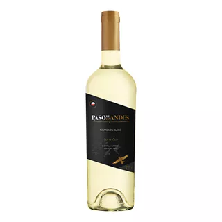 Vinho Chileno Paso De Los Andes Sauvignon Blanc 750 Ml
