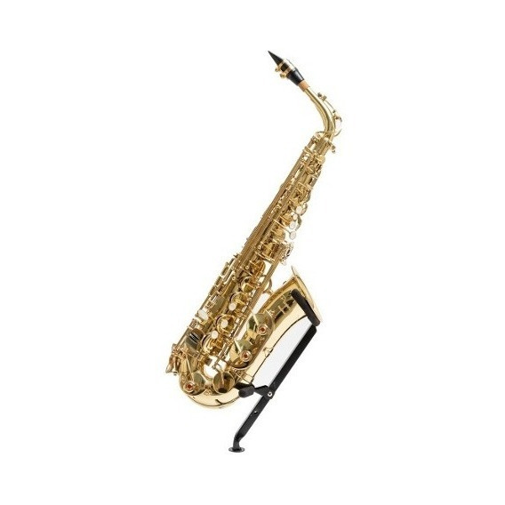 Saxo Alto Parquer Custom Estudio Estuche Envio Gratis Cuota