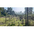 Terreno En Venta En Los Pinos De Reñaca