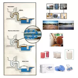 Bacterias Enzimas Tratamiento Fosas Septicas Biodigestores