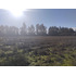 2parcelas Colindantes 5300 M2 C/u En Condominio Calera Tango