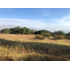 Venta Sitio Lo Curro Vitacura