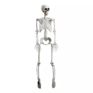 Decoração Halloween Esqueleto Inteiro Plástico Articulável