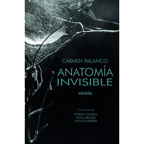 Anatomãâa De Lo Invisible, De Palanco, Carmen. Editorial Niebla, Tapa Blanda En Español