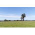 Sitio En Venta En Ancud