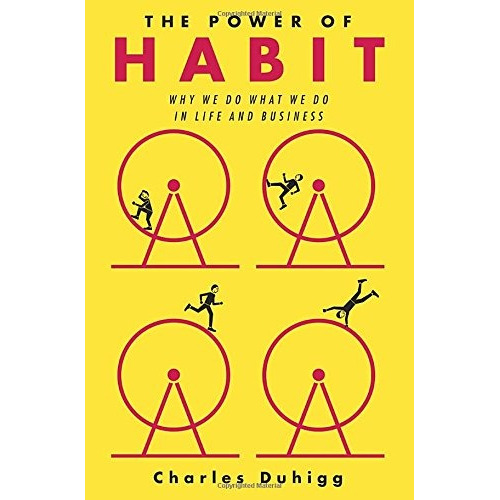 Book : The Power Of Habit: Why We Do What We Do In Li (9286)