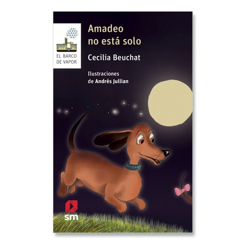 Amadeo No Esta Solo / Cecilia Beuchat