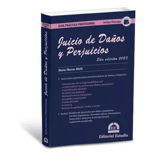 Guía Práctica Profesional Juicio De Daños Y Perjuicios