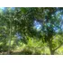 Lote Terreno No 2 - Anapoima, Colombia - Finca Para Agricultura