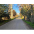 Maravillosa Parcela En Venta Santa Elena  (174082)