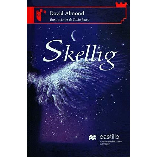 Skellig, De David Almond. Editorial Ediciones Castillo, Tapa Blanda En Español, 2009