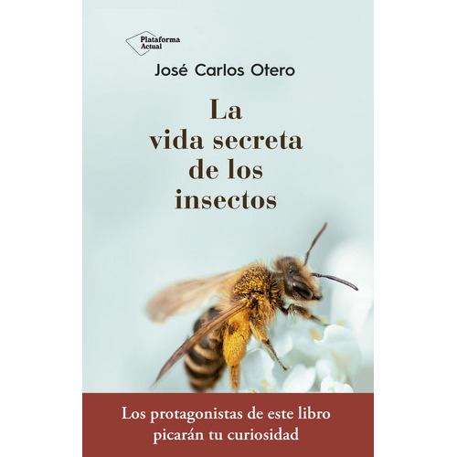 La Vida Secreta De Los Insectos, De Otero González, José Carlos. Plataforma Editorial, Tapa Blanda En Español