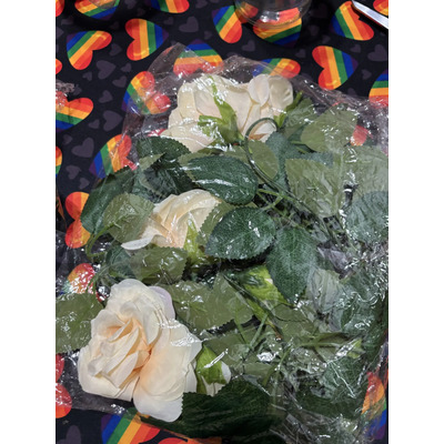 Foto del comprador
