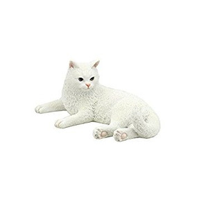 Gatitos British Shorthair en Mercado Libre México