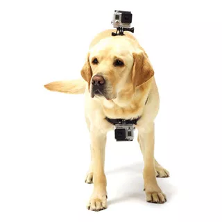 Arnes Para Perros Gopro Adogm-001 Fetch Dog Color Negro