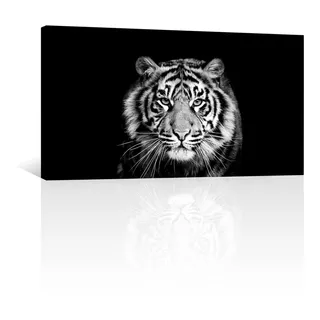 Cuadro Decorativo Canvas Animales Retrato Tigre Bn