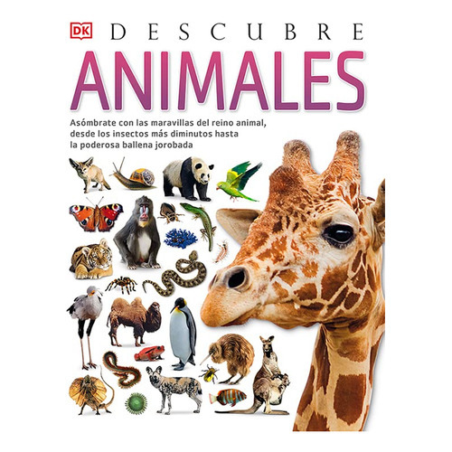 Descubre Animales, De Tom Jackson. Editorial Lu Libreria Universitaria, Tapa Blanda En Español, 2023