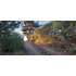 Parcela 3000 M2 En Venta Cobquecura