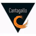 development-logo