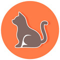 GATO