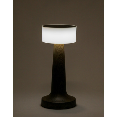 Velador De Mesa Led Escritorio Tactil Usb Negro Tm1005n