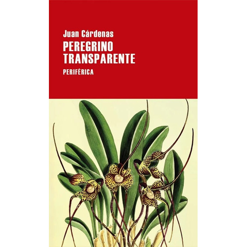 Peregrino Transparente, De Juan Cárdenas. Editorial Periferica, Tapa Blanda, Edición 1 En Español