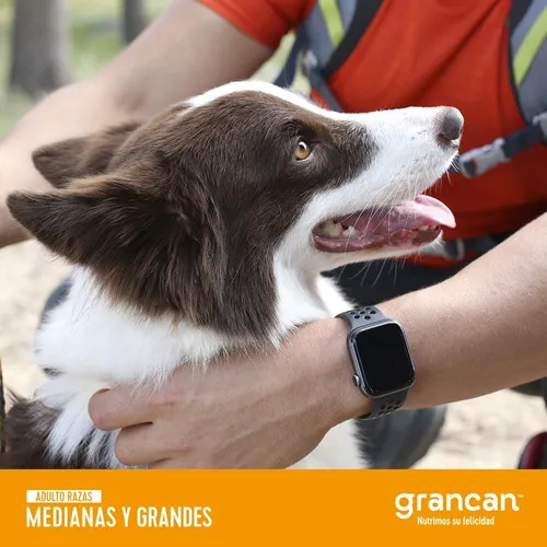 Croqueta Grancan Adulto Razas Medianas Y Grandes Pack 6 Kg